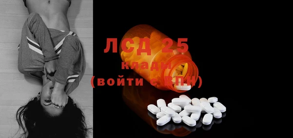спайс Аркадак