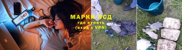спайс Аркадак