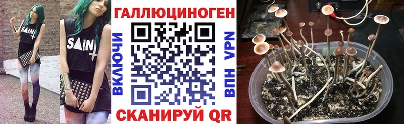 Галлюциногенные грибы ЛСД  кракен   Балтийск 