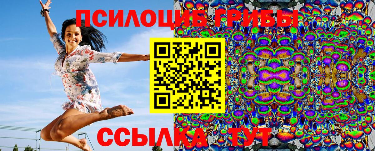 Псилоцибиновые грибы прущие грибы Балтийск
